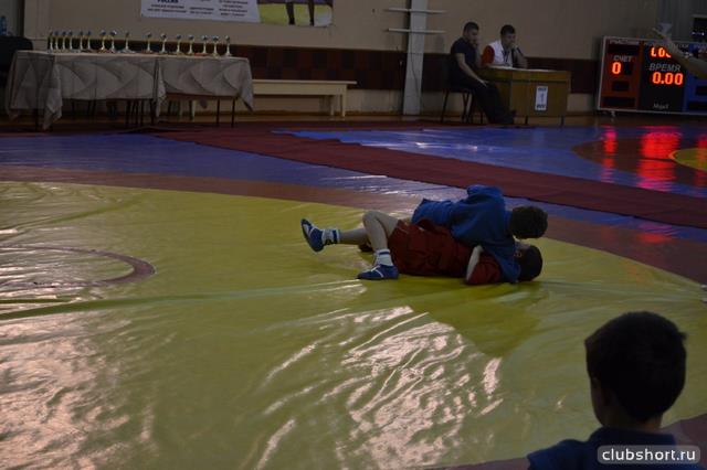 5636_boys-in-shorts-ru_538.jpg